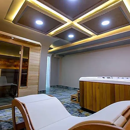 Elite Palace فندق